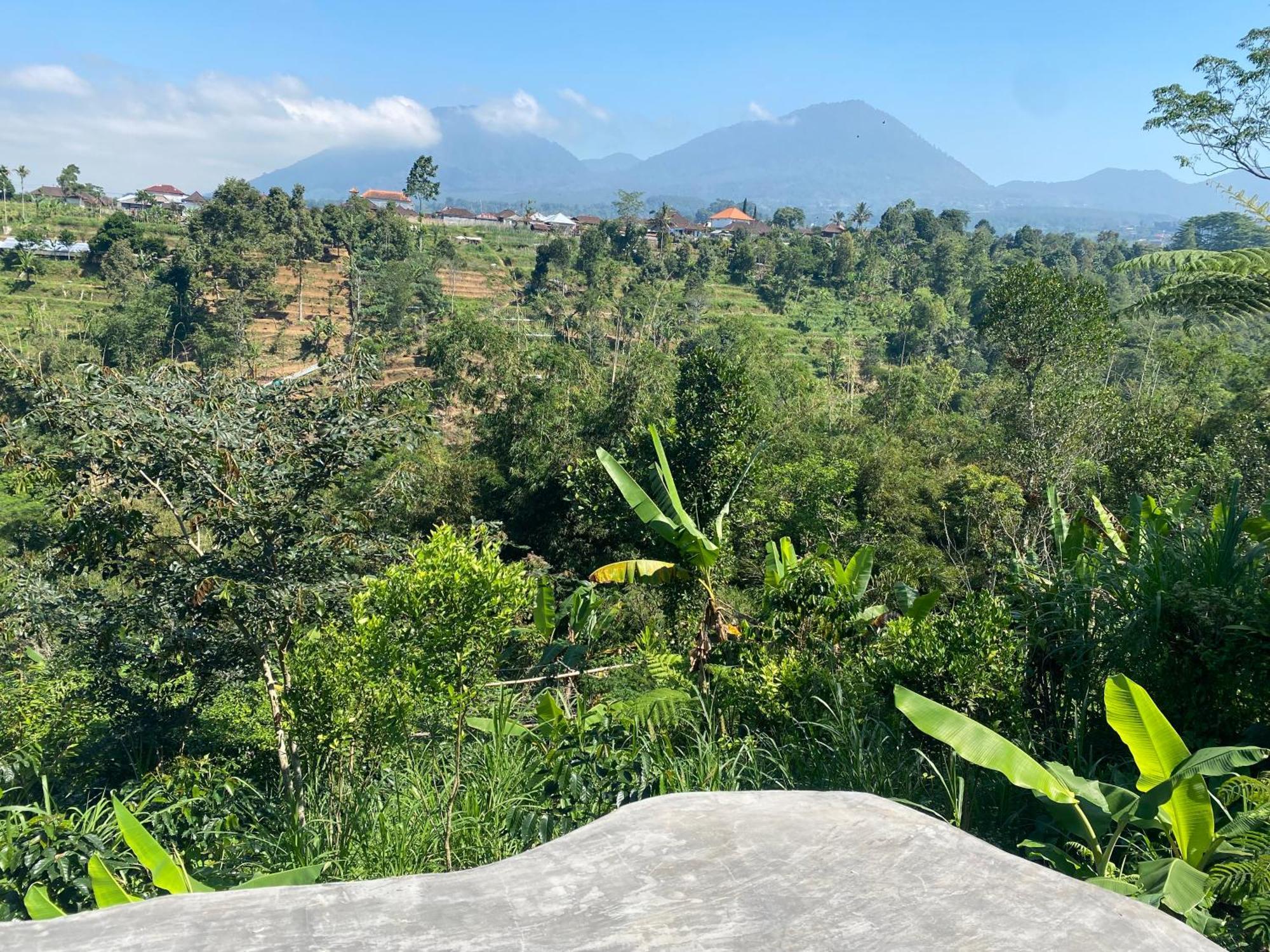 Lembah Cinta Mayungan Baturiti Экстерьер фото