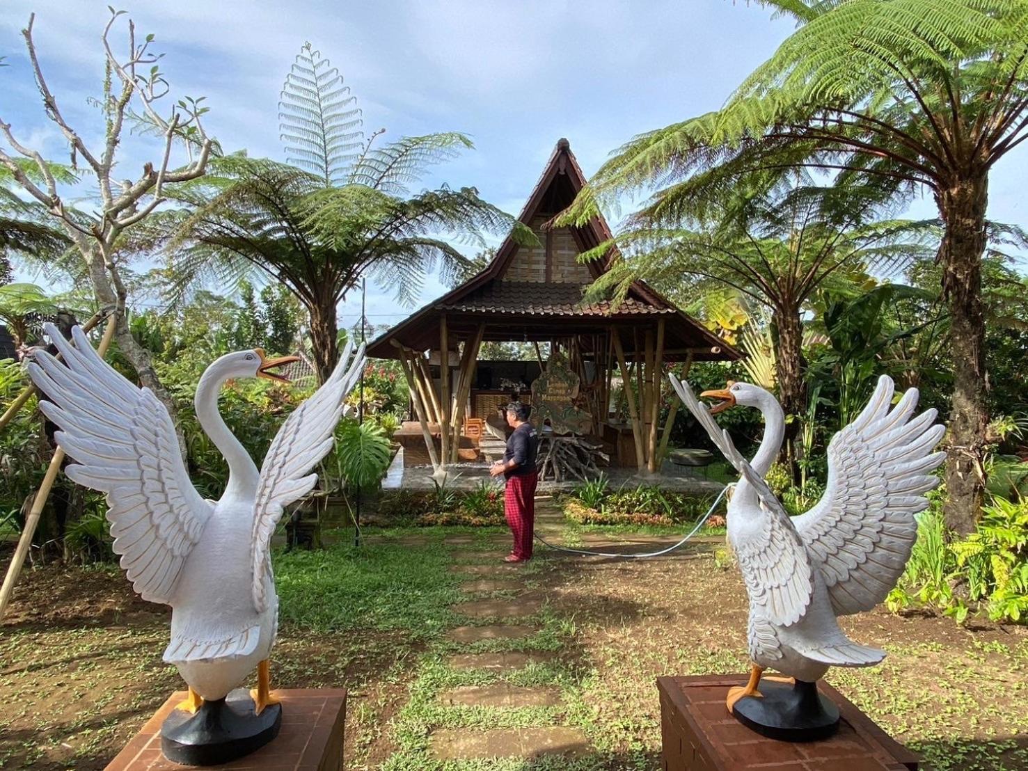 Lembah Cinta Mayungan Baturiti Экстерьер фото