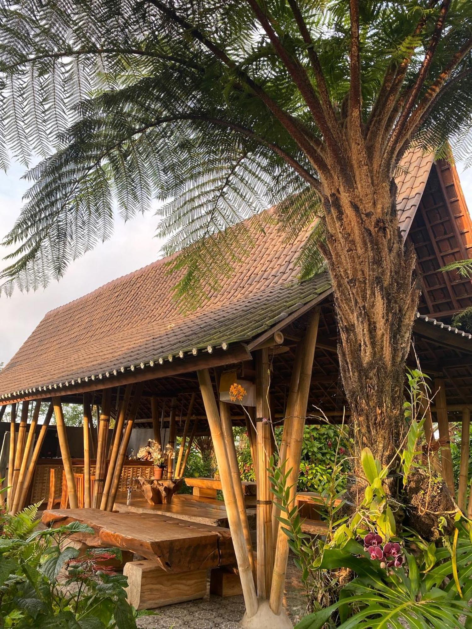 Lembah Cinta Mayungan Baturiti Экстерьер фото