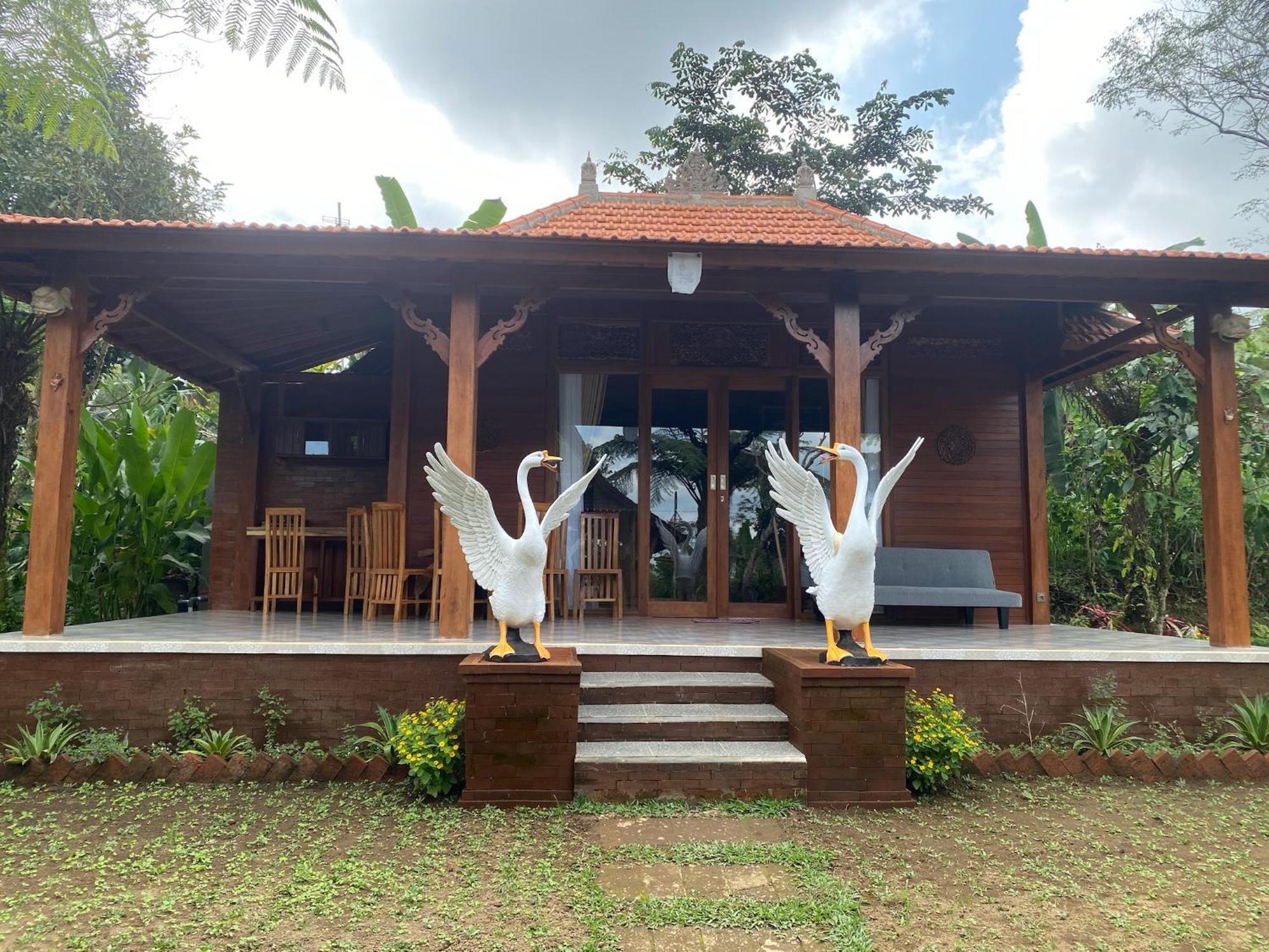 Lembah Cinta Mayungan Baturiti Экстерьер фото