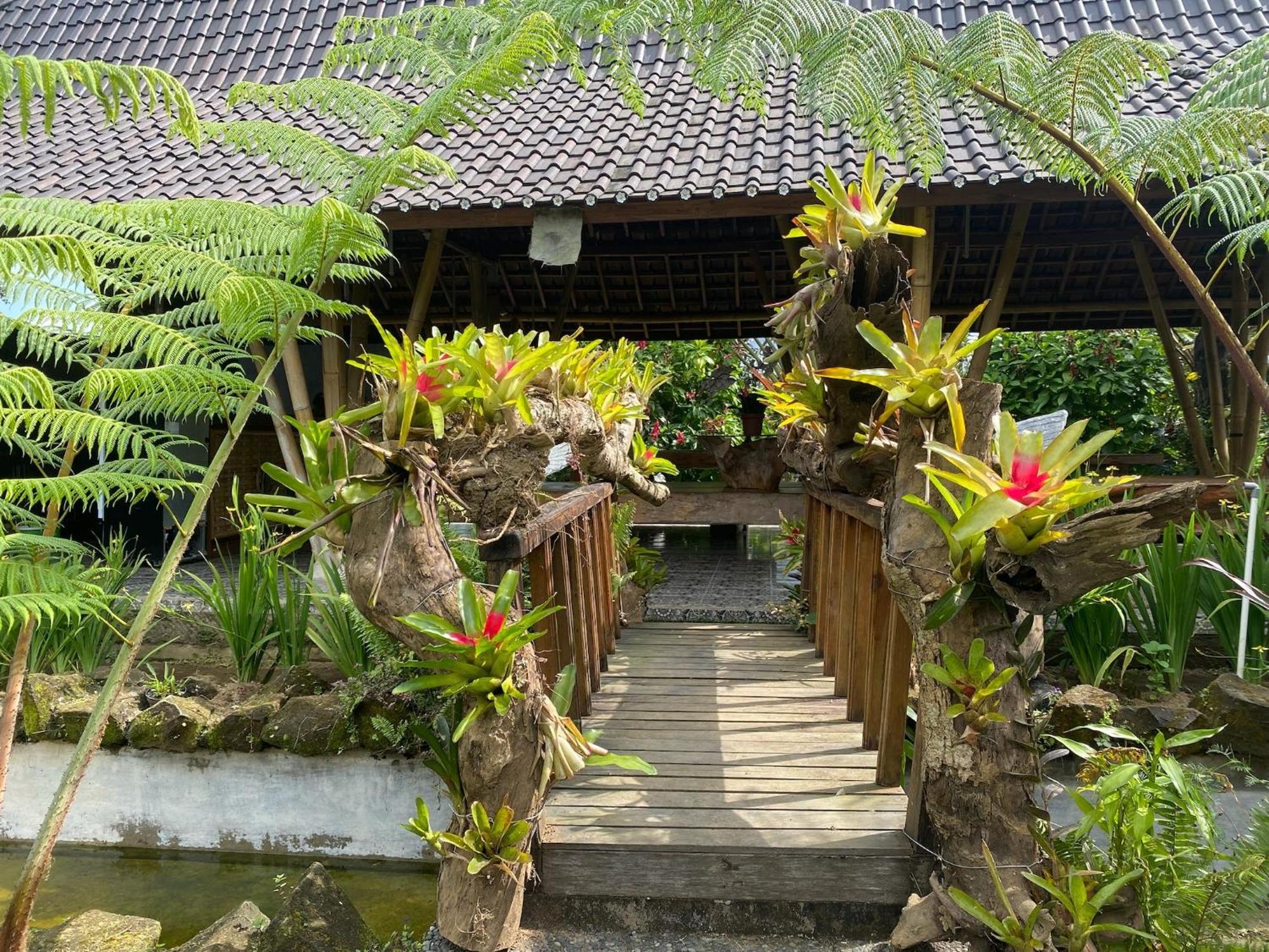 Lembah Cinta Mayungan Baturiti Экстерьер фото