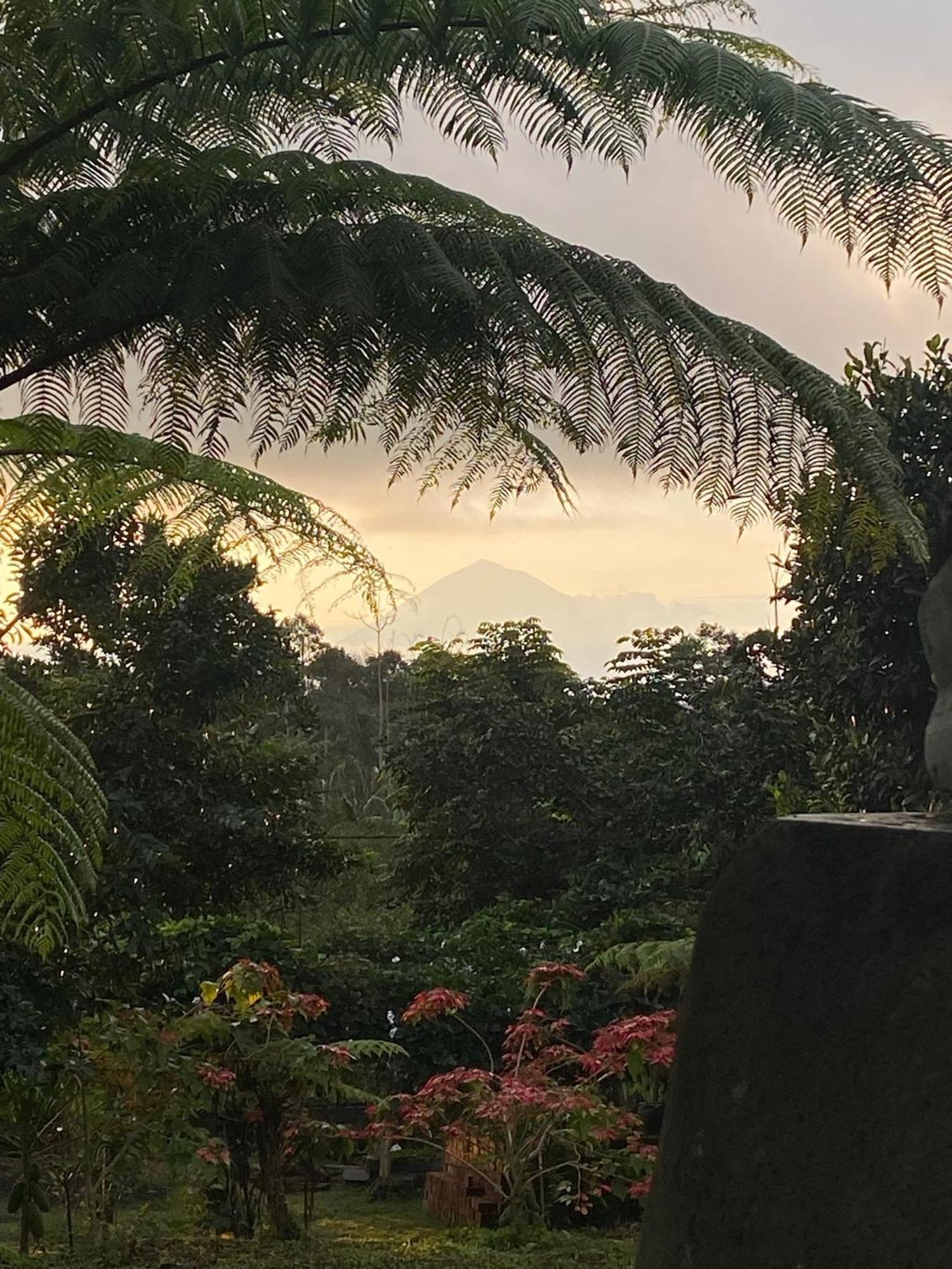 Lembah Cinta Mayungan Baturiti Экстерьер фото